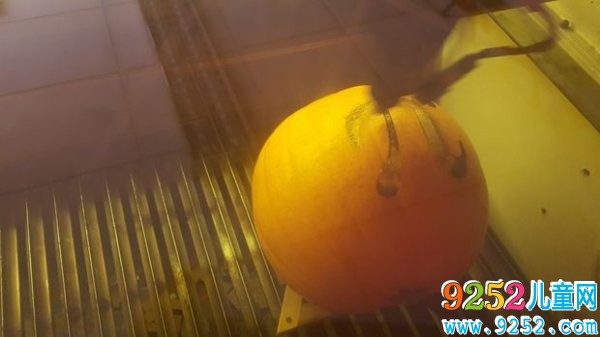 南瓜飾品的<a href=http://inspiredelm.com/diy/ target=_blank class=infotextkey>手工制作</a>方法