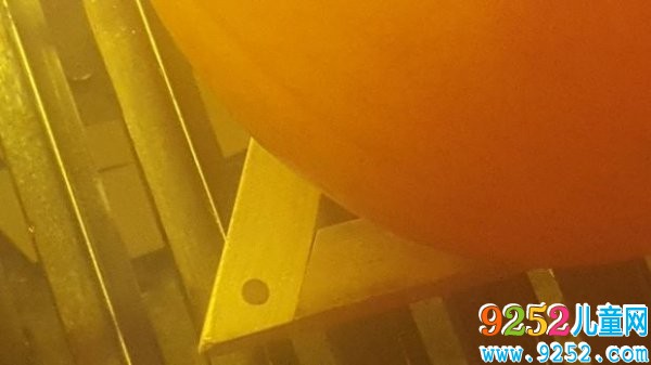南瓜飾品的<a href=http://inspiredelm.com/diy/ target=_blank class=infotextkey>手工制作</a>方法