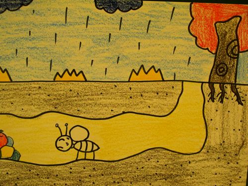 躲雨的小螞蟻