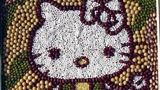 漂亮的hello kitty   種子拼出來的