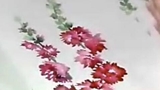 漂亮的花卉