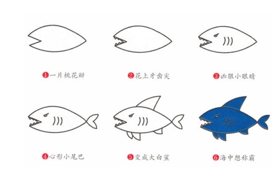 4種鯊魚(yú)簡(jiǎn)筆 畫(huà)法