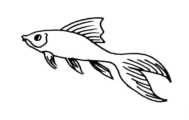 開心的小魚<a href=http://inspiredelm.com/ertonghua/ target=_blank class=infotextkey>兒童畫</a>圖片_開心的小魚兒童繪畫圖集