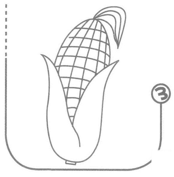 玉米的畫法簡筆畫圖片