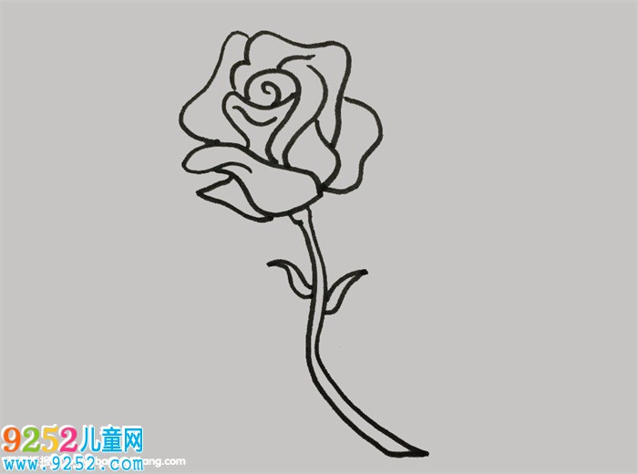 薔薇花怎么畫