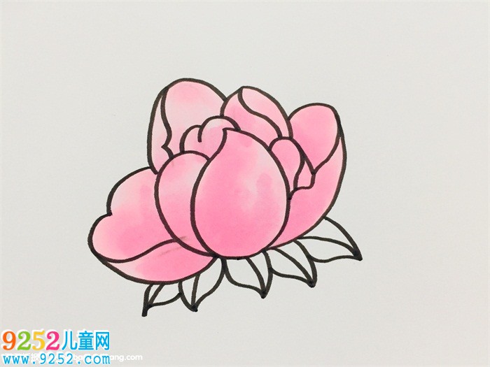 芍藥簡(jiǎn)單畫法