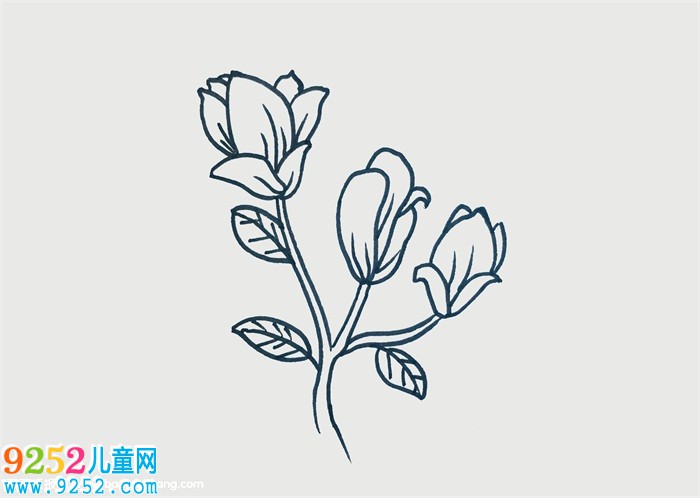 玉蘭花怎么畫