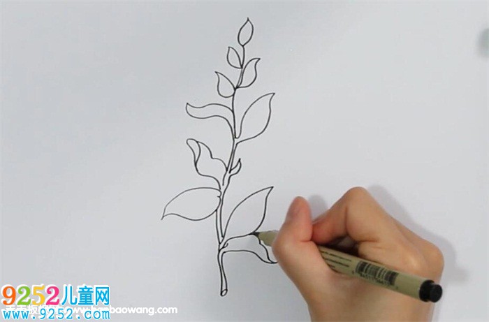 茶樹<a href=http://inspiredelm.com/jianbihua/ target=_blank class=infotextkey>簡(jiǎn)筆畫</a>