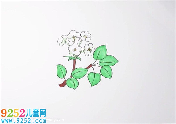 梨花<a href=http://inspiredelm.com/jianbihua/ target=_blank class=infotextkey>簡(jiǎn)筆畫</a>