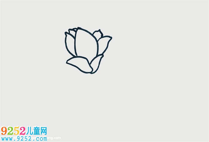 玉蘭花怎么畫