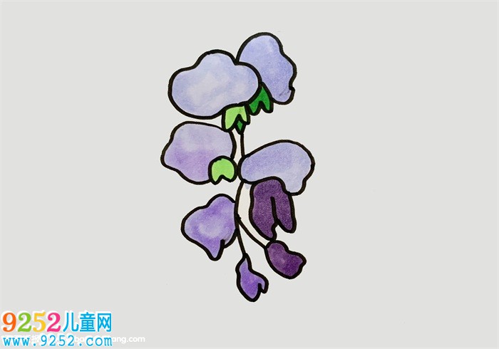 紫藤花怎么畫