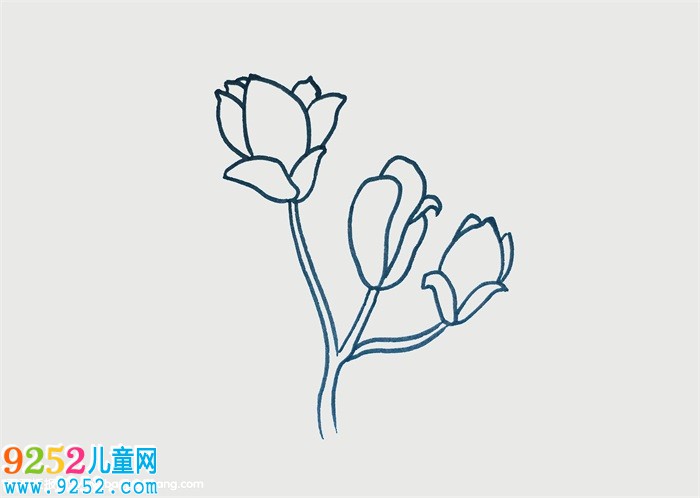 玉蘭花怎么畫