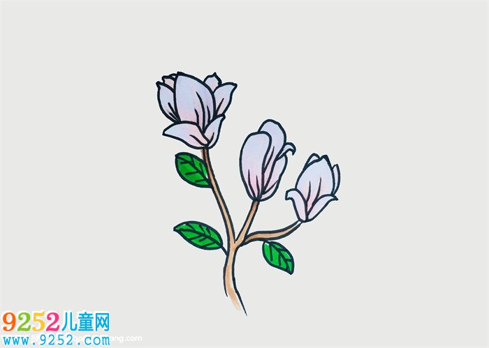 玉蘭花怎么畫