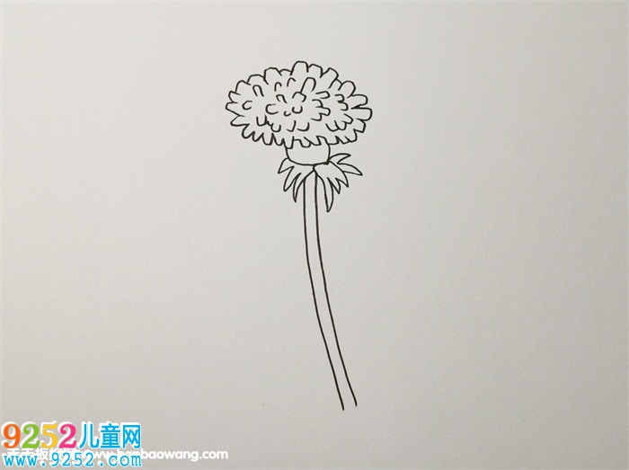 蒲公英怎么畫(huà)<a href=http://inspiredelm.com/jianbihua/ target=_blank class=infotextkey>簡(jiǎn)筆畫(huà)</a>