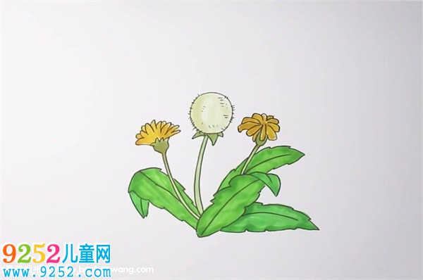 蒲公英<a href=http://inspiredelm.com/jianbihua/ target=_blank class=infotextkey>簡(jiǎn)筆畫(huà)</a>