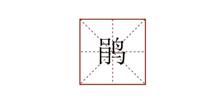 鵑組詞是什么，鵑這個字怎么組詞