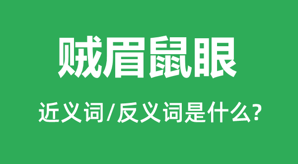 賊眉鼠眼的近義詞和反義詞是什么,賊眉鼠眼是什么意思