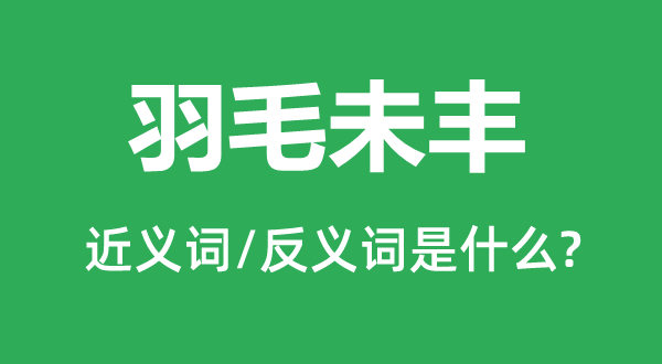 羽毛未豐的近義詞和反義詞是什么,羽毛未豐是什么意思