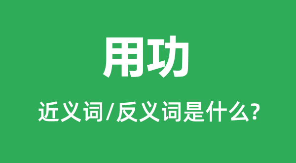 用功的近義詞和反義詞是什么,用功是什么意思