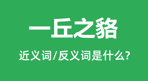 一丘之貉的近義詞和反義詞是什么,一丘之貉是什么意思