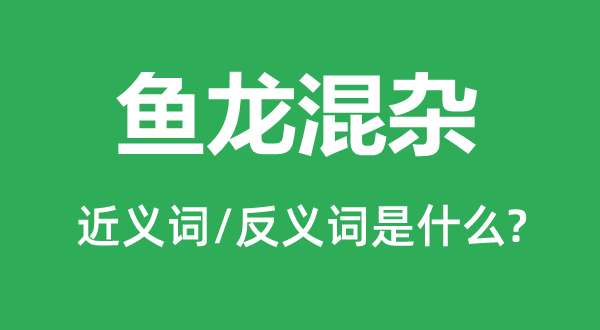 魚龍混雜的近義詞和反義詞是什么,魚龍混雜是什么意思