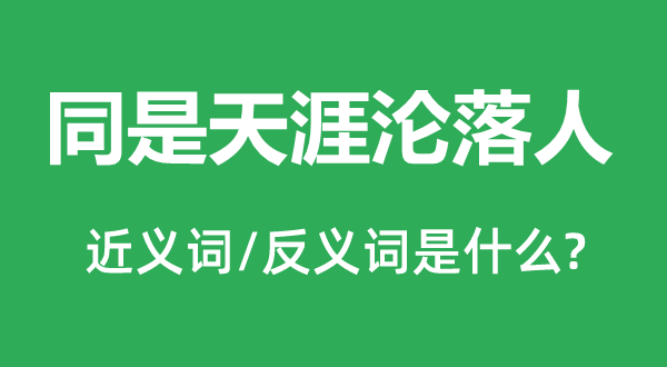 同是天涯淪落人的近義詞和反義詞是什么,同是天涯淪落人是什么意思