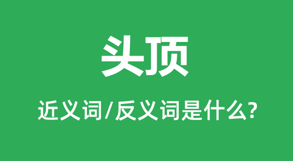 頭頂?shù)慕x詞和反義詞是什么,頭頂是什么意思