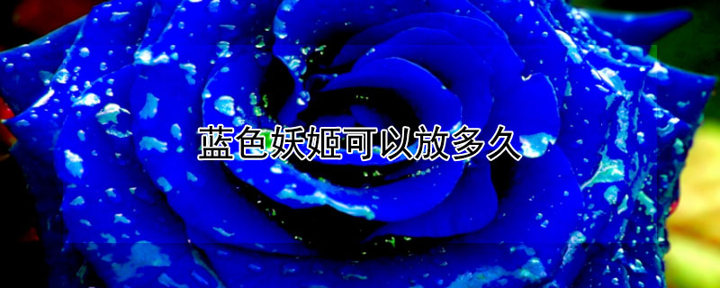藍(lán)色妖姬可以放多久