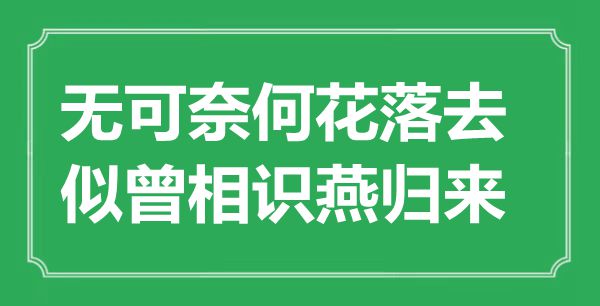 “無可奈何花落去，似曾相識燕歸來”是什么意思,出處是哪里