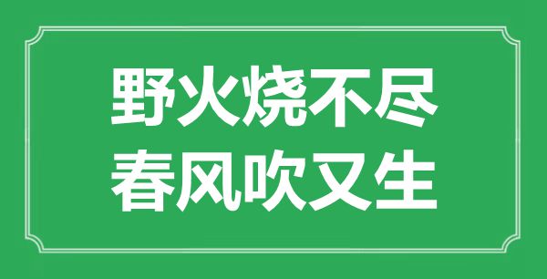 “野火燒不盡，春風吹又生”是什么意思,出處是哪里