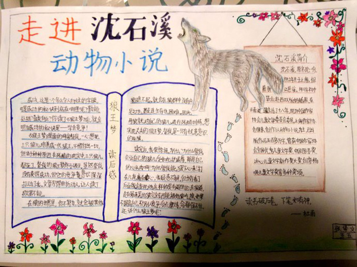 書香陽光成長手抄報圖片，走進沈石溪