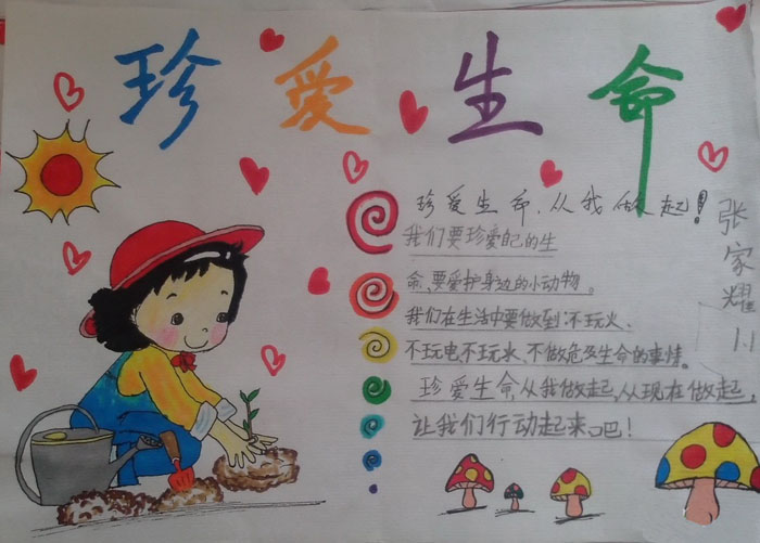 小學(xué)生珍愛生命的手抄報，珍愛生命從我做起