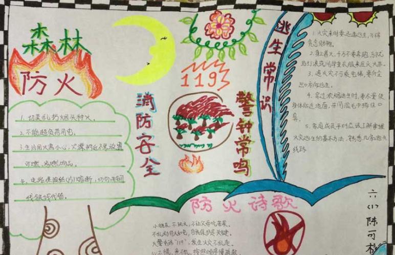 2017年森林日<a href=http://inspiredelm.com/shouchaobao/ target=_blank class=infotextkey>手抄報(bào)</a>，保護(hù)森林愛護(hù)環(huán)境