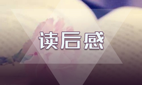 木偶奇遇記讀后感二年級(jí)
