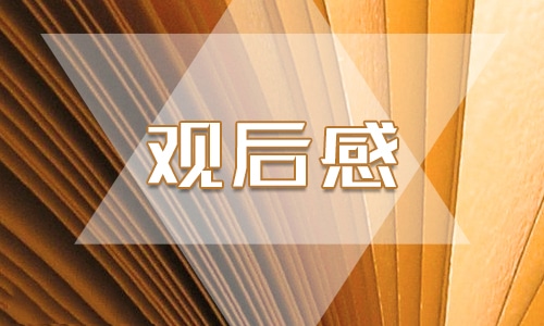 高中生《長空之王》電影觀后感500字