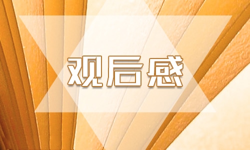 河南省2023主題思政課直播心得感悟