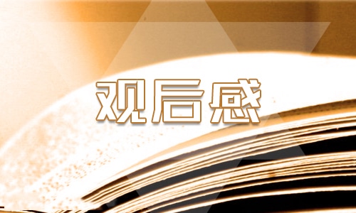 電影《長空之王》觀后感心得體會精選