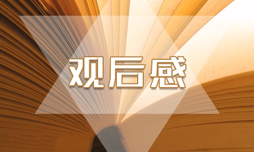 法制宣傳觀后感600字