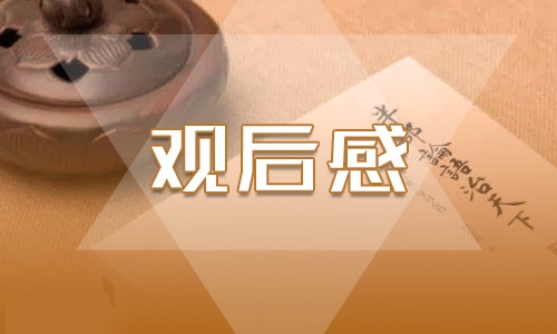 新時代好少年先進(jìn)事跡觀后感11篇